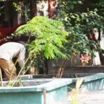 Casos de depresión en embarazadas se multiplicaron con la pandemia