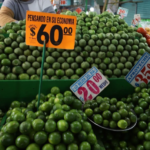 Estos son los precios de acceso a Sendero Jurásico de Progreso, Yucatán