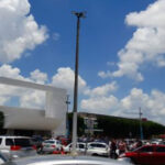Recolectan 800 toneladas de sargazo en Cancún