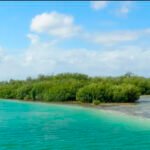 Aumentan casos de narcomenudeo en Quintana Roo